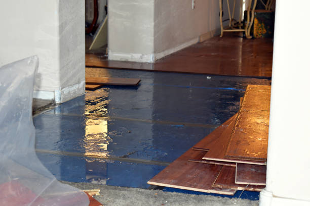 Professional Burst Pipe Water Damage technician working in Acton, MA